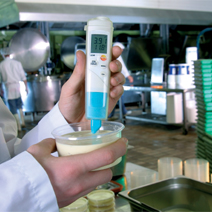 testo 206-pH2德图PH计|测量半固态物质pH值和温度