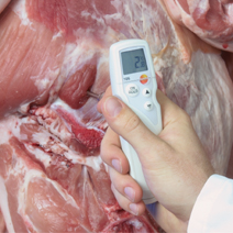 testo 205德图PH计|温度和PH二合一|单手pH/°C